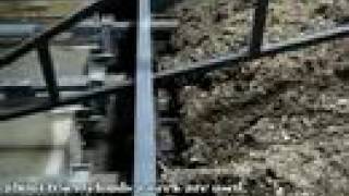 Bordine Biomass Boiler