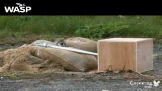 WASP Live Firing