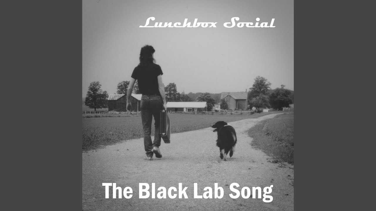 The Black Lab Song YouTube