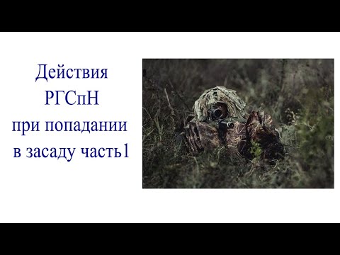 Действия РГСпН при