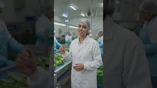 green vegetables palak |#dubai #oman #uae #india #nothingimposibleinthisworld
