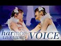 【harmoe】「VOICE」ライブ映像 from「2nd LIVE TOUR ”GOOD and EVIL&quot;」at 神奈川県民ホール 2023.8.12