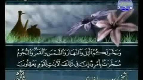 سورة النّحل الآيات من 10 14