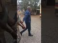 Isaac Ochalo, aka 'Baba Wanja’ arrested after he was captured on video assaulting a woman in Kamakis