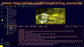 WEB SCRAPING image downloader python