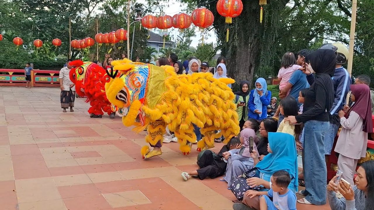 Aksi Barongsai Menyambut CAP GO MEH Kelenteng HOK TIK BIO Blora 