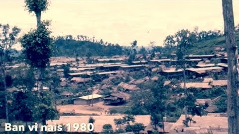 Rov Mus Txog Vib Nais