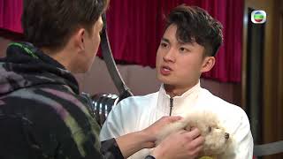 愛．回家之開心速遞 ｜第1167集  ｜預告  ｜金剛門 ｜網上春茗 ｜呂慧儀 ｜周嘉洛 ｜劉丹