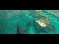 映画『ロスト・バケーション』日本版15秒予告編