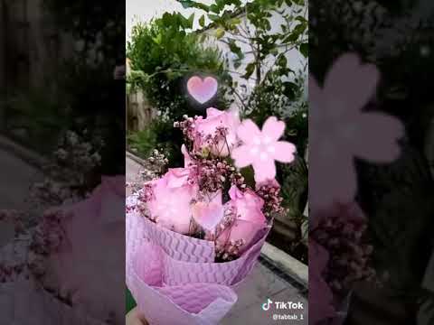 أحلى صباح مع أجمل الكلمات صباح العود والعنبر صباح مايليق إلا باحبابي حالات واتس أب