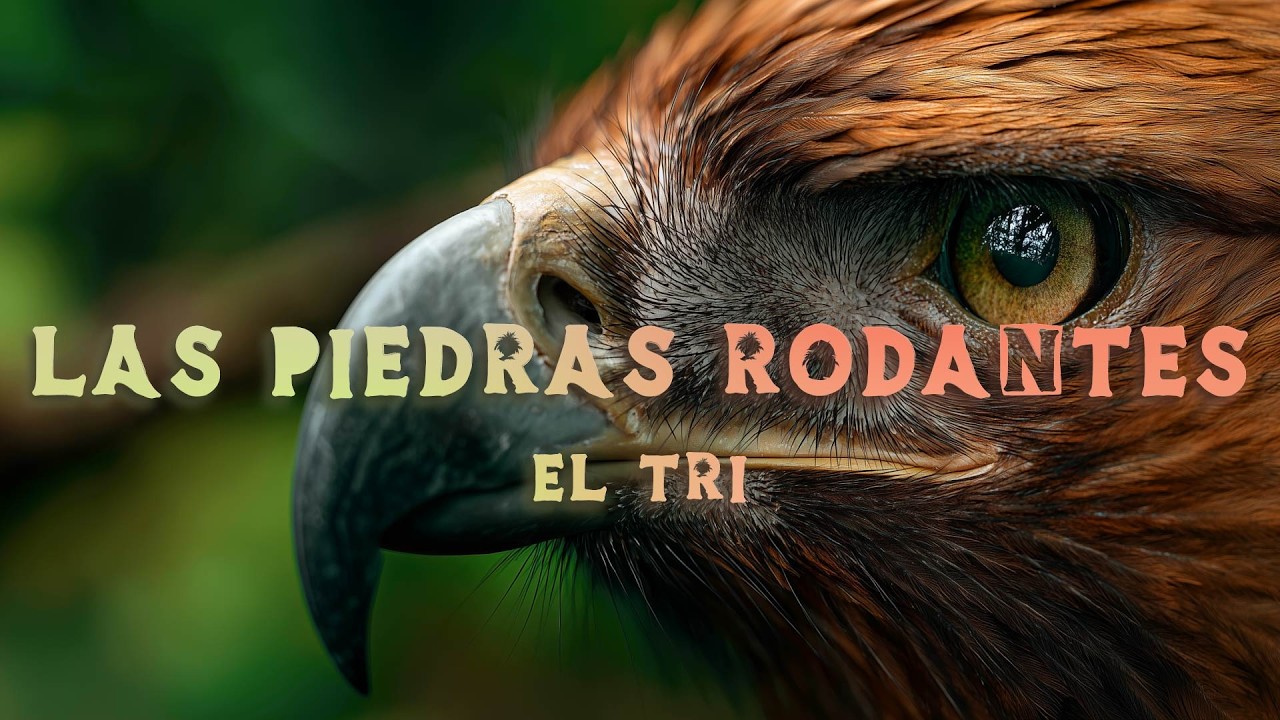 El Tri - Las piedras rodantes