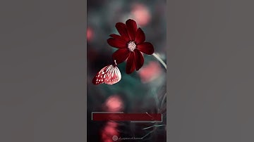 خواتيم سورة المؤمنون﴿إِنَّهُ كَانَ فَرِيقٌ مِنْ عِبَادِي يَقُولُونَ رَبَّنَا﴾ بصوت القارئ إسلام صبحي