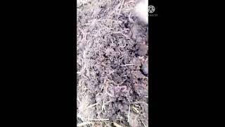 Yosh Tadbirkorning Birinchi Shogirti 90 878 12 25