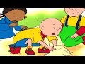 Caillou em Português | Caillou, Três é Demais | Nova Temporada | Desenho Animado