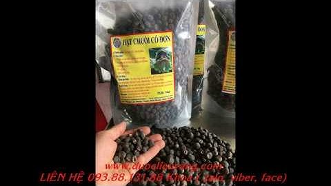 Hạt chuối cô đơn Ninh Thuận