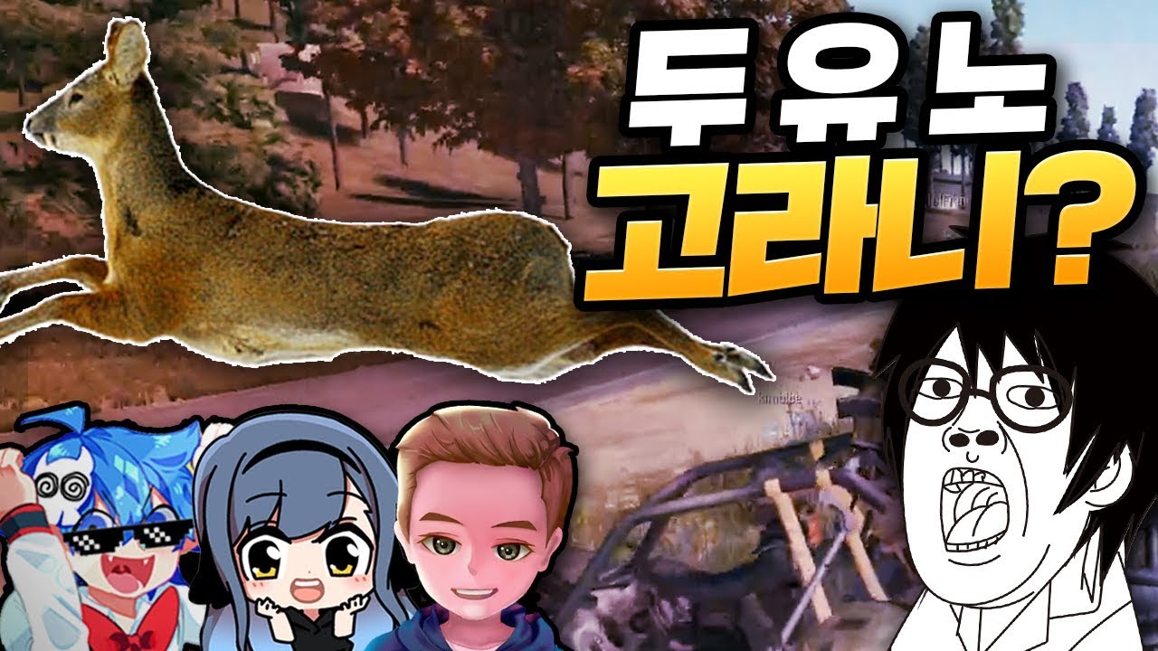 배그 미국랭킹 1위 대한외국인에게 고라니 당했습니다ㅋㅋㅋ 전여친 현남친 외국인 이 조합 무엇??