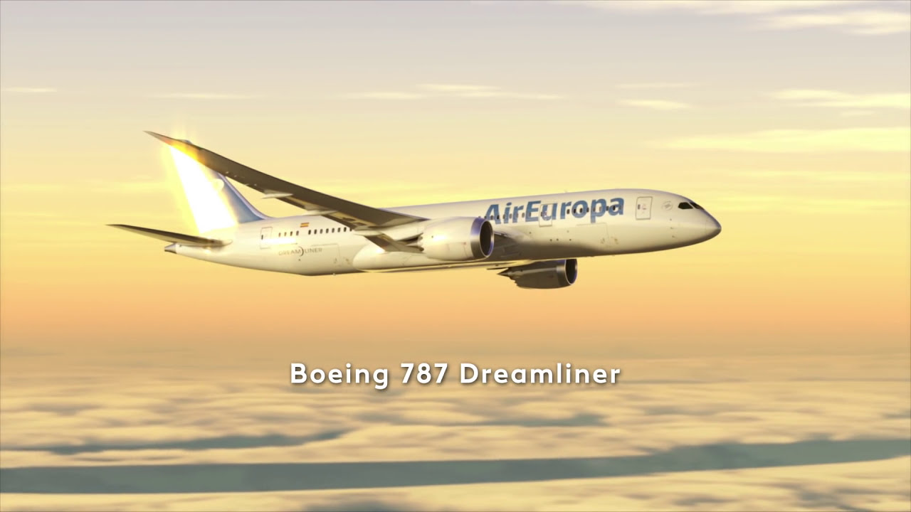 Flotte Air Europa