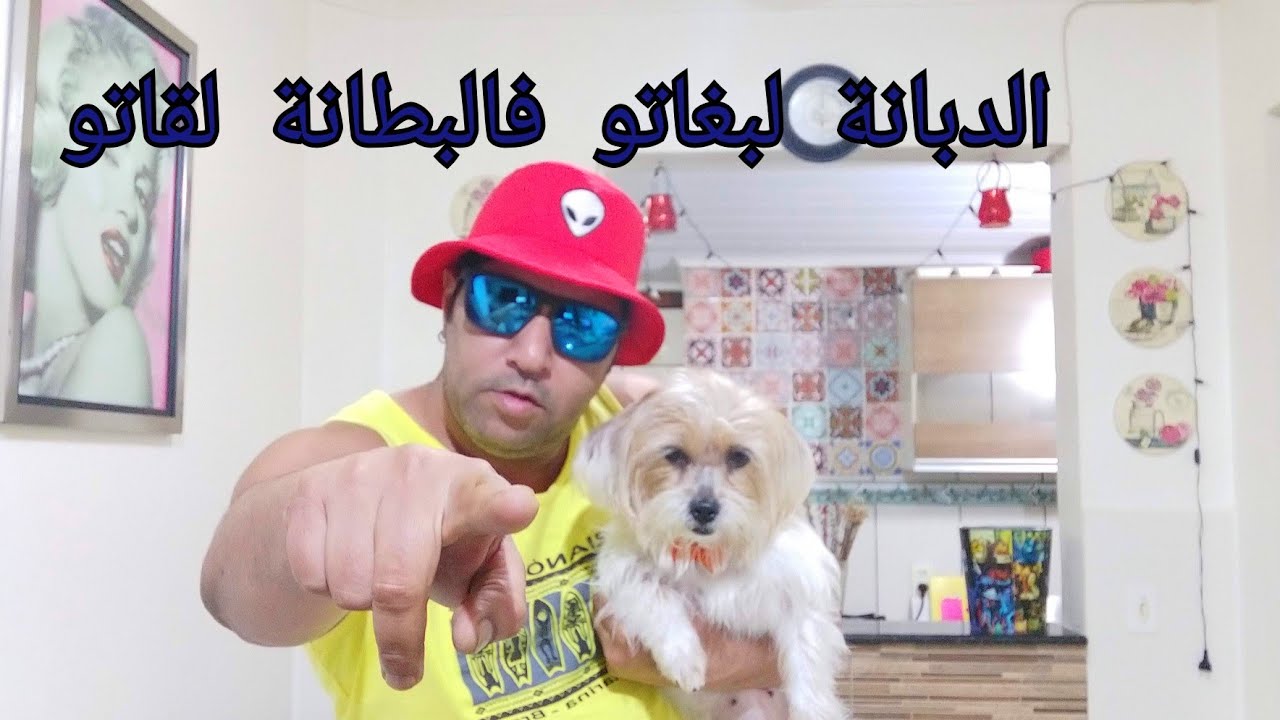 التقاليد والعادات التي تسبب في المشاكل للمغاربة في 🇧🇷   و لماذا ؟  Sami dobrasil