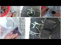 How to propagate the olive tree by cuttings