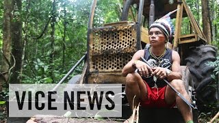 Illegal Loggers: The Tribe Waging War in the Amazon