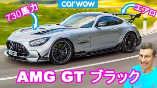【新車情報Top10】新型 AMG GT ブラックシリーズ