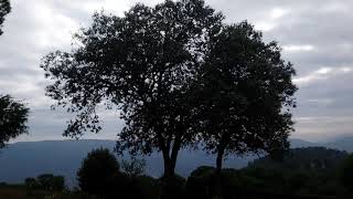 Mirador del Camino Viejo. Andújar.