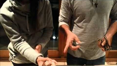 Ball Python Collection Update 19 June 2013