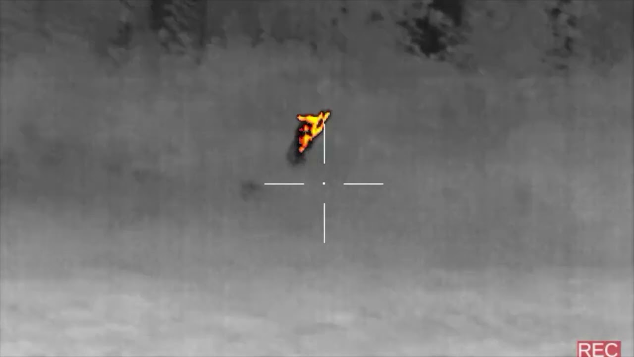 338 Federal 225 Stone Hammer Coyote Hunt