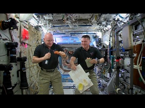 What Are You Doing For Thanksgiving?: Scott Kelly And Kjell Lindgren