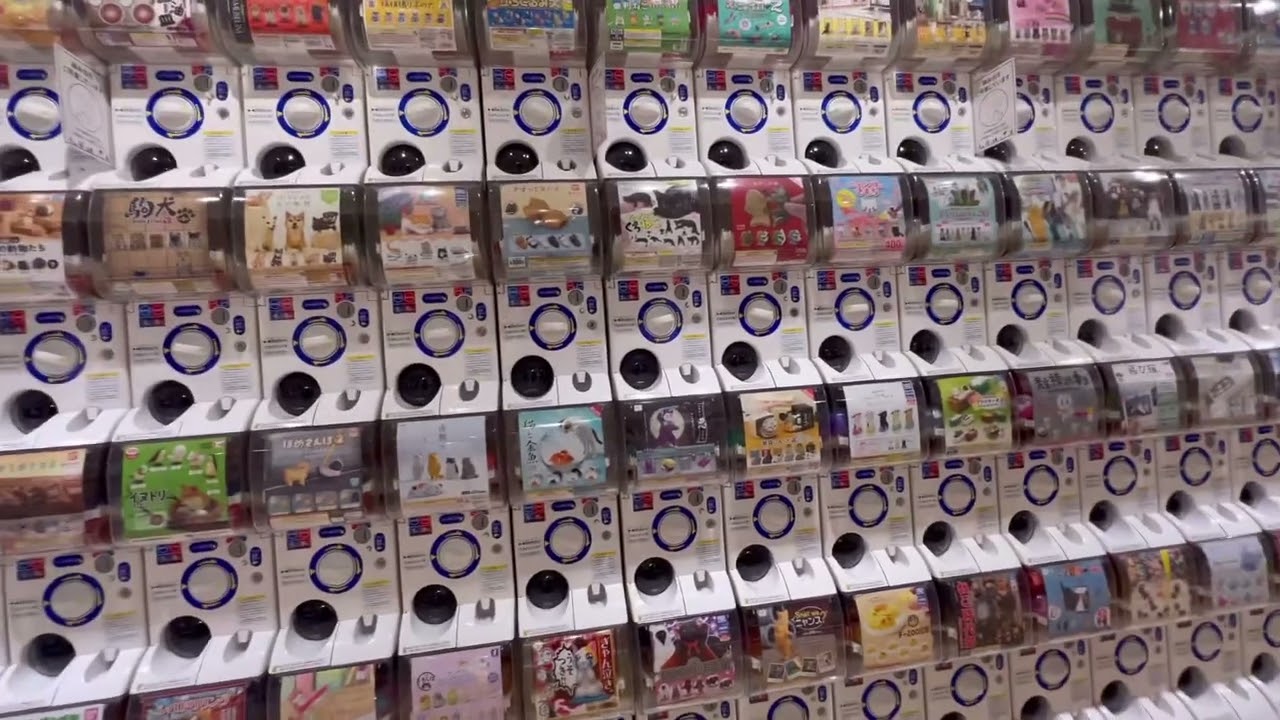 ガチャガチャの森 ノースポート・モール店 / Gachagacha no Mori Northport Mall Yokohama/ #ガシャポン #gashapon