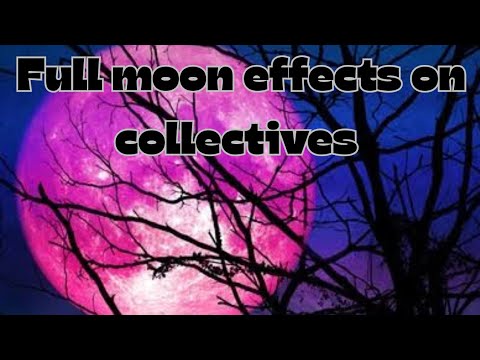 Full moon effects on collectives 🌕🌛 current feelings and thoughts 💝💖 ...