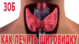 ★Как ЛЕЧИТЬ ЩИТОВИДКУ дома. Ранние признаки ЗОБа. ★Как ЛЕЧИТЬ ЩИТОВИДКУ дома. Ранние признаки ЗОБа.
