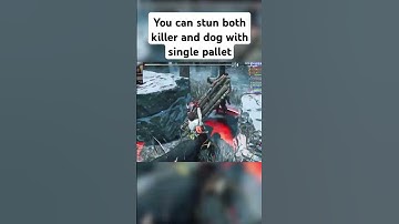 Double Stun on New Killer And Dog #dbd #deadbydaylight #deadbydaylightfunnymoments #dbdshorts