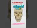 The 206 Bones of the Human Body 💀(cheating Tips)#short