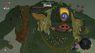Master Mode Breath Of The Wild - Let s Play Part 9
