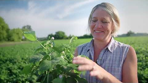 Standard Process Nutritional Supplements