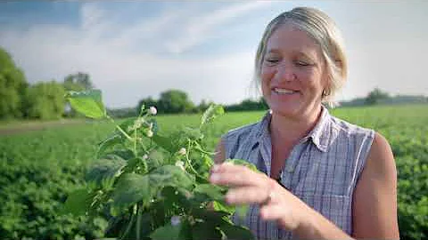 Standard Process Nutritional Supplements