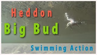 Heddon Big Bud (Coors) Swim Action / ヘドン　ビッグバド　スイムアクション