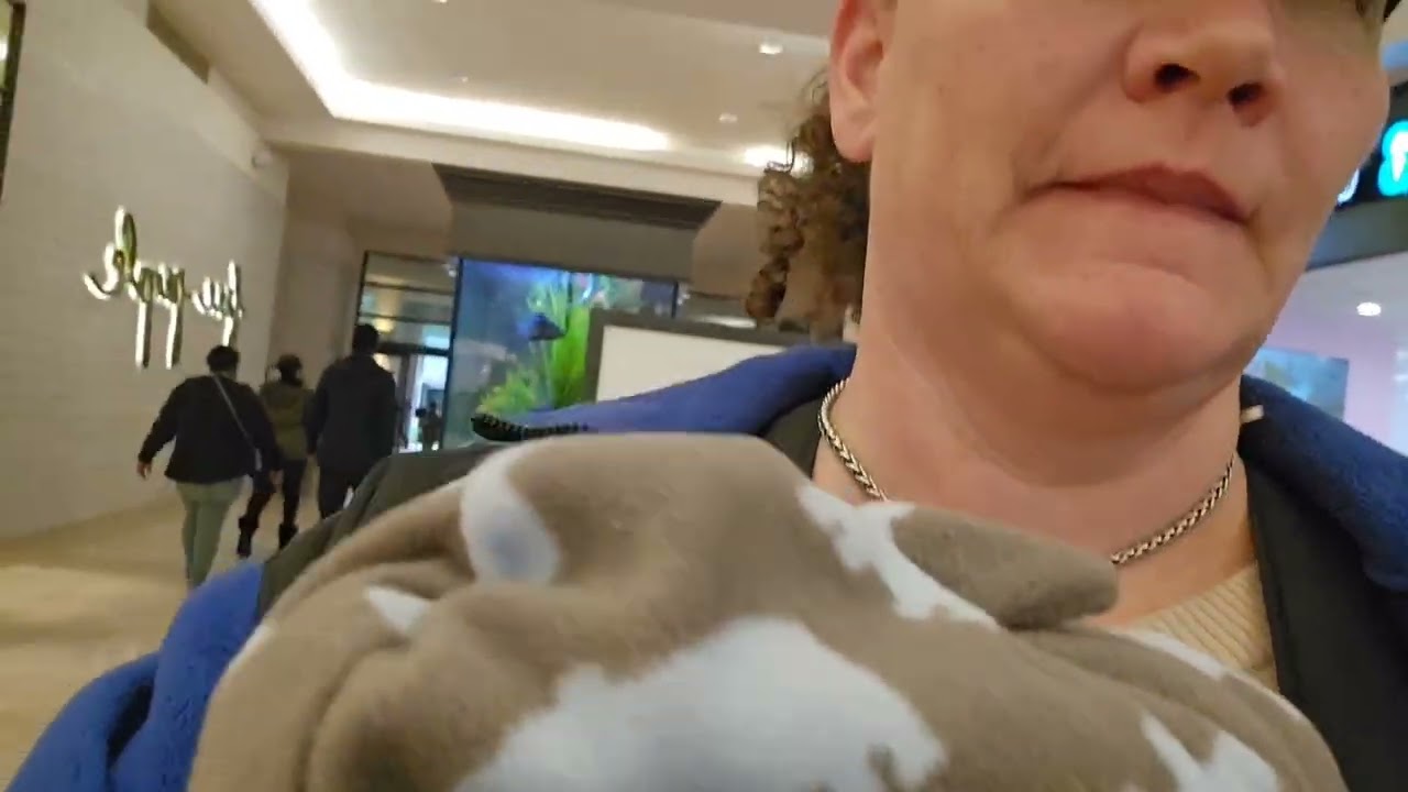 Прогулка по торговому центру с куклой-реборном Ашером 