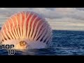 Top 10 Ocean Mysteries That Are IMPOSSIBLE To Solve - Part 3