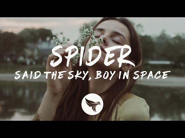 Said The Sky - Spider (Lyrics) feat. Boy In Space class=
