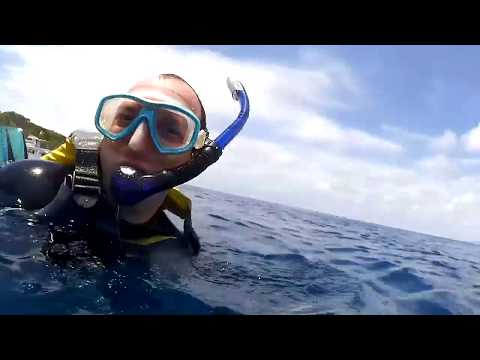 青の洞窟　シーラバーズ沖縄   あめりか通り　ネーネーズ