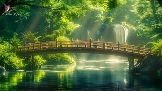 Restores the nervous system 🌿 Soothing music heals the heart, Stops overthinking, anxiety & stress by Dream Relax Music 184 views 3 days ago 1 hour, 10 minutes