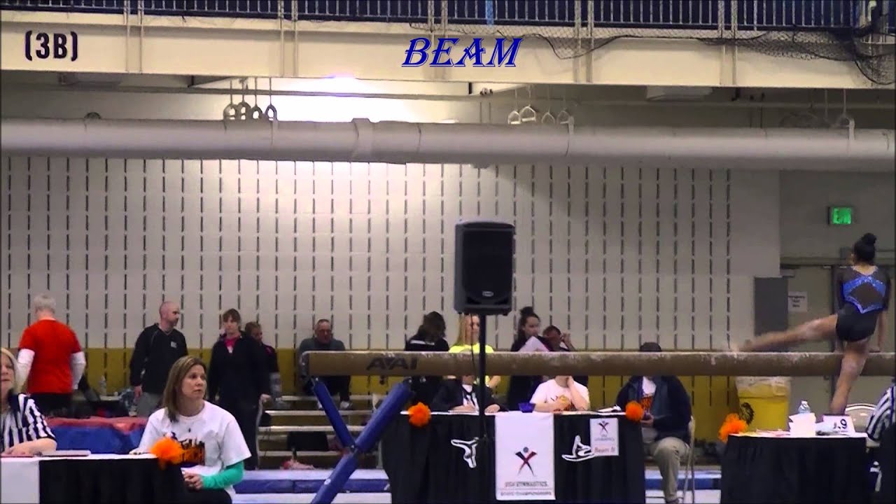 Level 10 Indiana Gymnastics State Championships 201415 YouTube