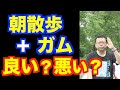 朝散歩 ガム でセロトニンは倍増するのか 精神科医 樺沢紫苑 朝散歩 ガム でセロトニンは倍増するのか 精神科医 樺沢紫苑