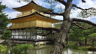 Vlog Japon #6 🇯🇵 kyoto le pavillon d'or