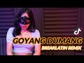 BREAKLATIN - Goyang Dumang x Ninix Titanic (Extended Mix) | Dj Remix Viral Tiktok 2024