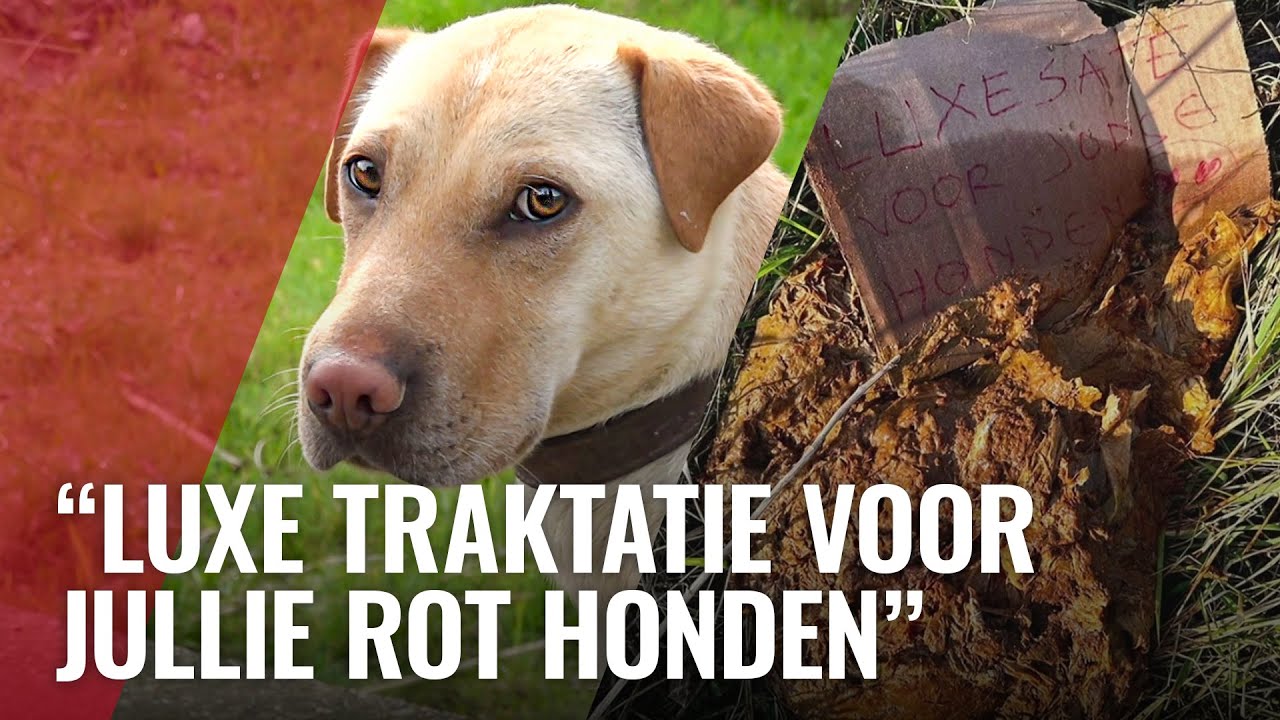 Hondenhater actief op IJburg: "Dit is onmenselijk"