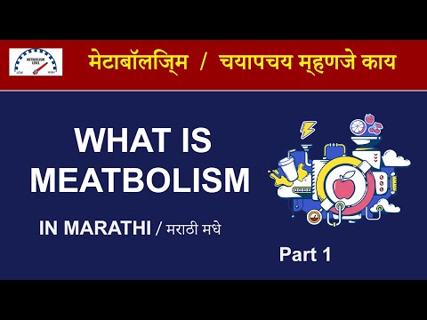 What is Metabolism | चयापचय म्हणजे काय | nutritionistakash