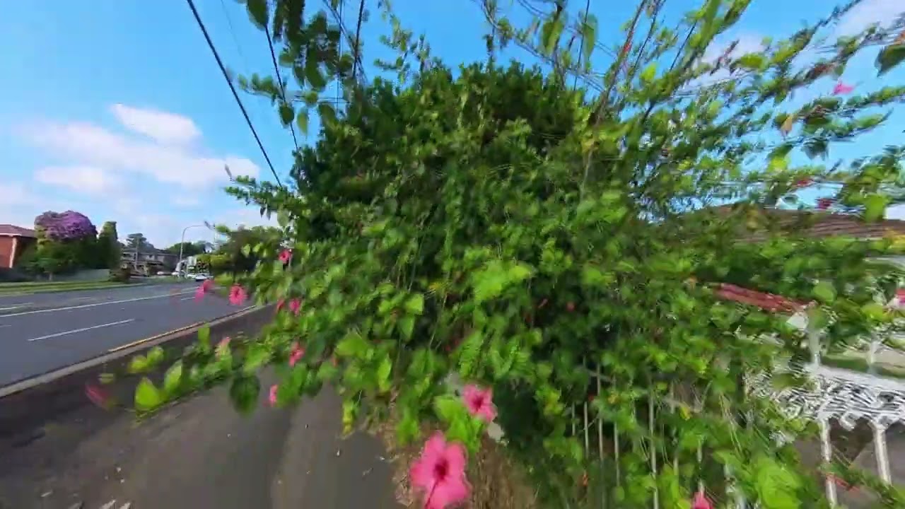 Emert street Wentworthville, at end, Follow me cut from 360 video